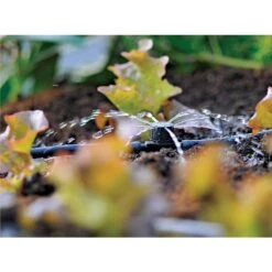 Wolf-Garden Shop -Wolf-Garden Shop 5010646060936 2