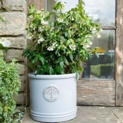 Woodlodge 38cm White / Cream Glazed Heritage Cylinder Pot -Wolf-Garden Shop 5021346424430