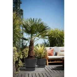 Elho 25cm Living Black Greenville Round Planter -Wolf-Garden Shop 8711904332334 5