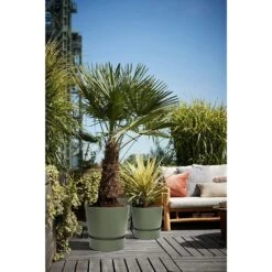 Elho 25cm Leaf Green Greenville Round Planter -Wolf-Garden Shop 8711904332433 4