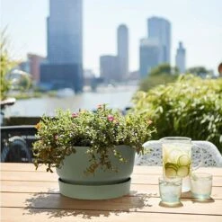 Elho 33cm Leaf Green Greenville Bowl Planter 8 Elho 33cm Leaf Green Greenville Bowl Planter -Wolf-Garden Shop 8711904332464 4