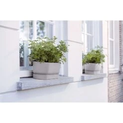 Elho 50cm Living Concrete Greenvillle Long Trough Planter -Wolf-Garden Shop 8711904358440 4