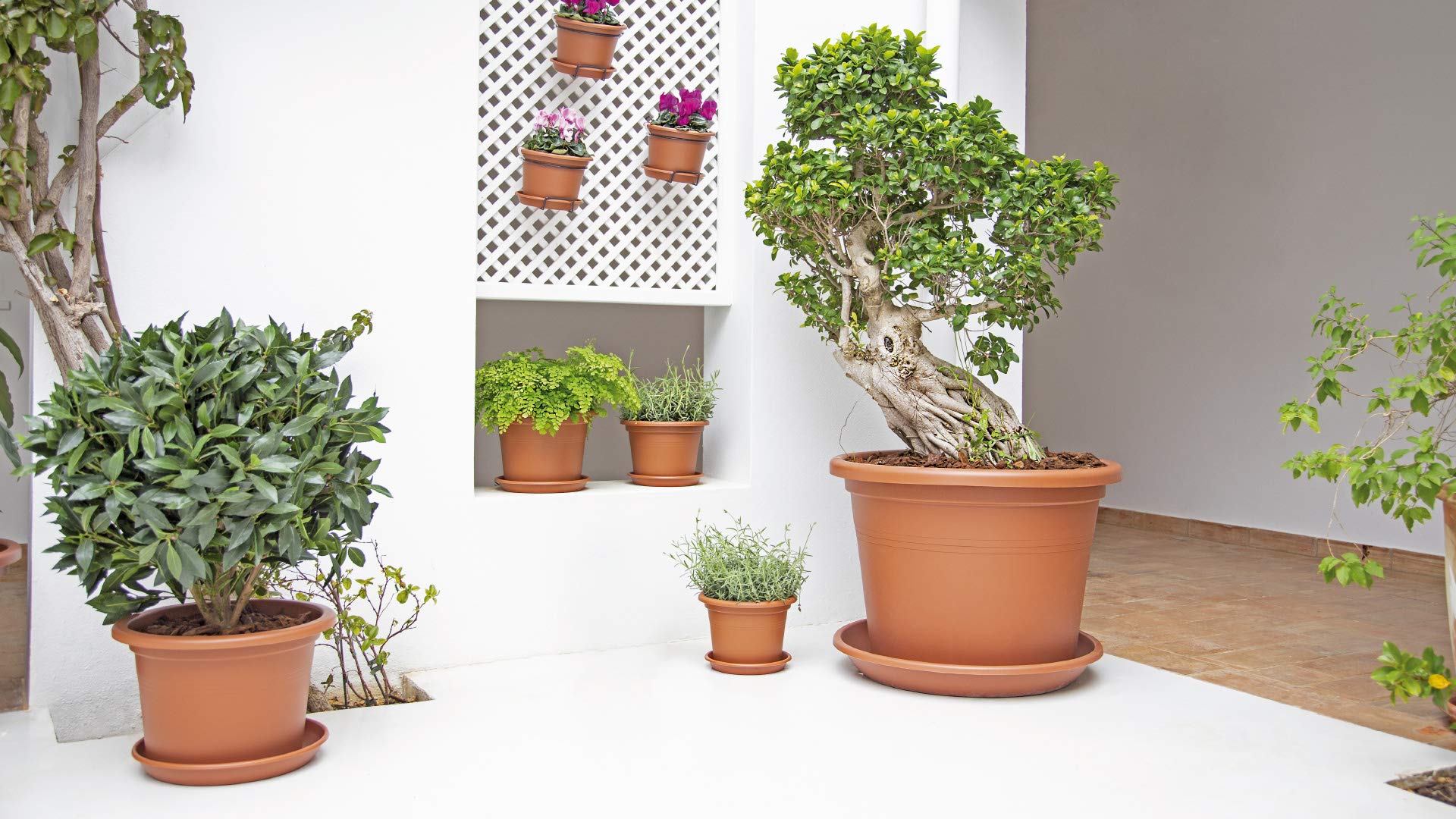 Wolf-Garden Shop -Wolf-Garden Shop 81WI5qrqZdL