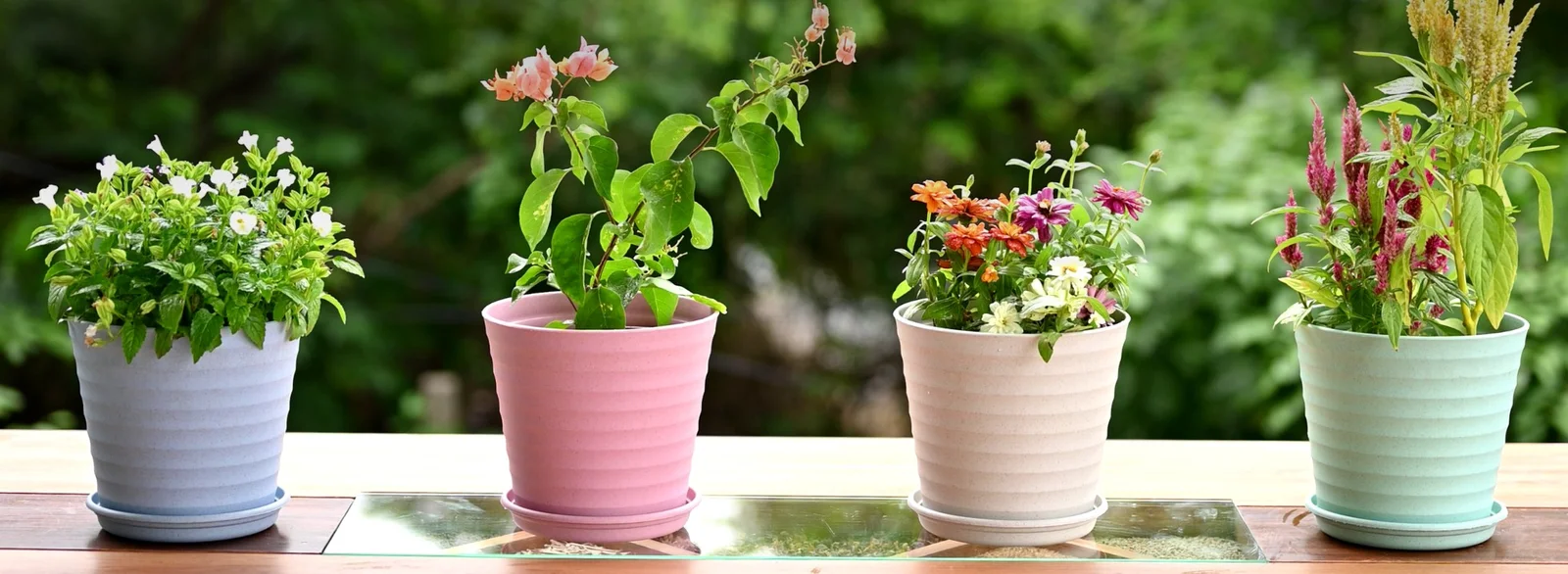 Wolf-Garden Shop -Wolf-Garden Shop Eha Blogs 2240 × 820 px 1